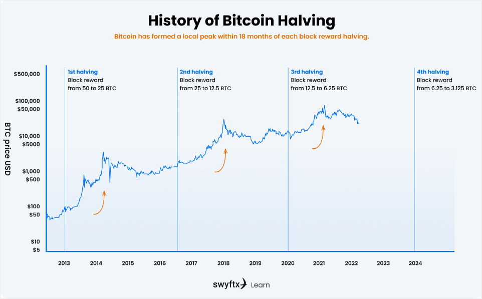 history of Bitcoin halving